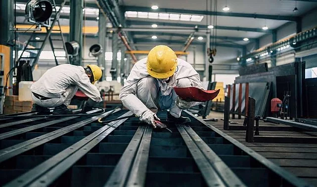 Etimesgut Kertenkele İlaçlama